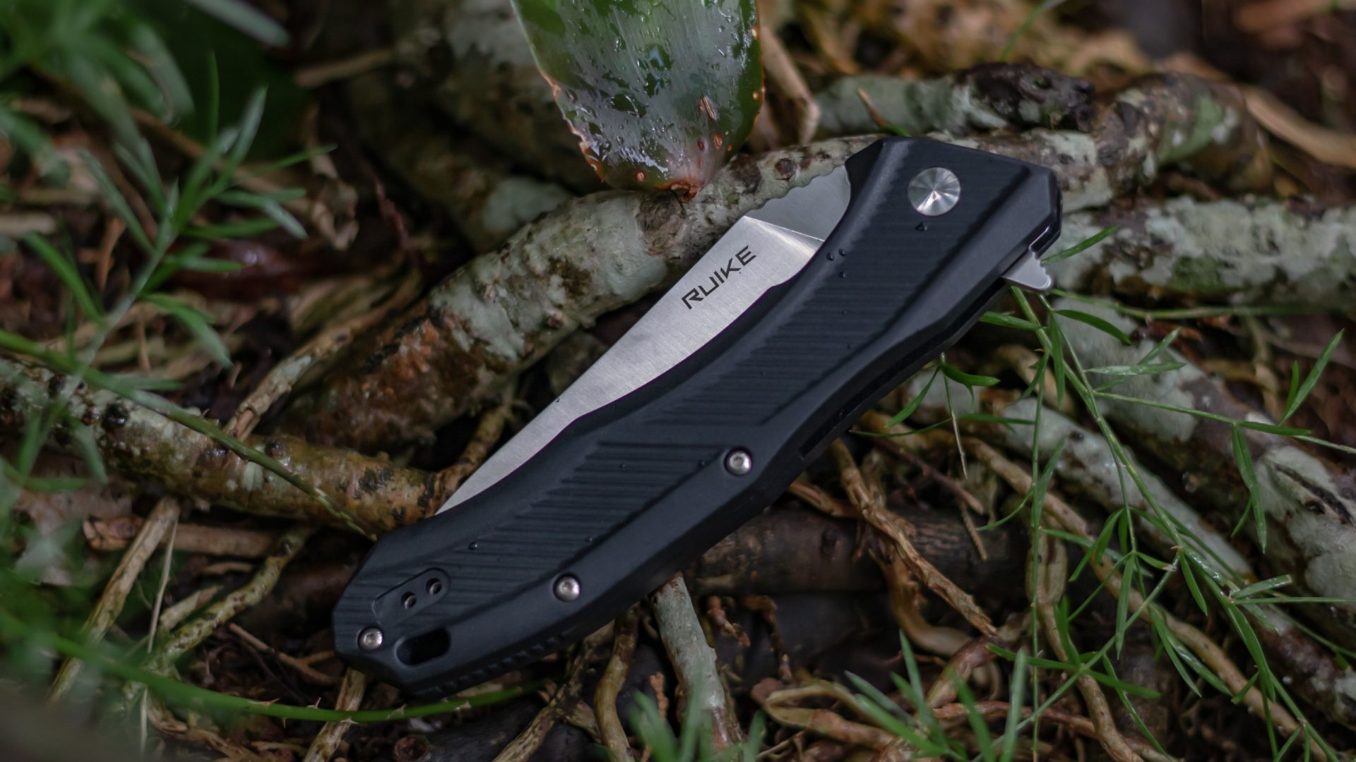 Camping Knives for Survival: Must-Have Features