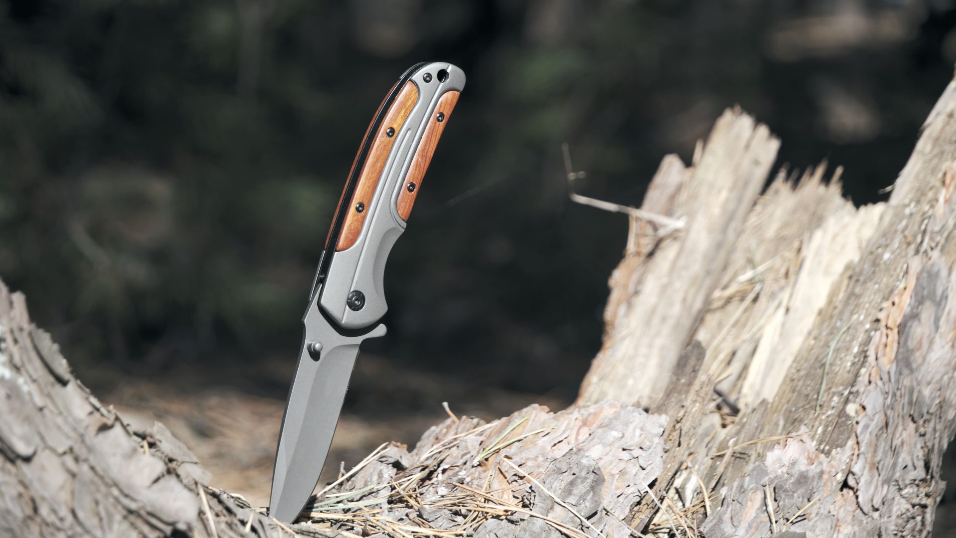 Everything You Need to Know About Custom Pocket Knives