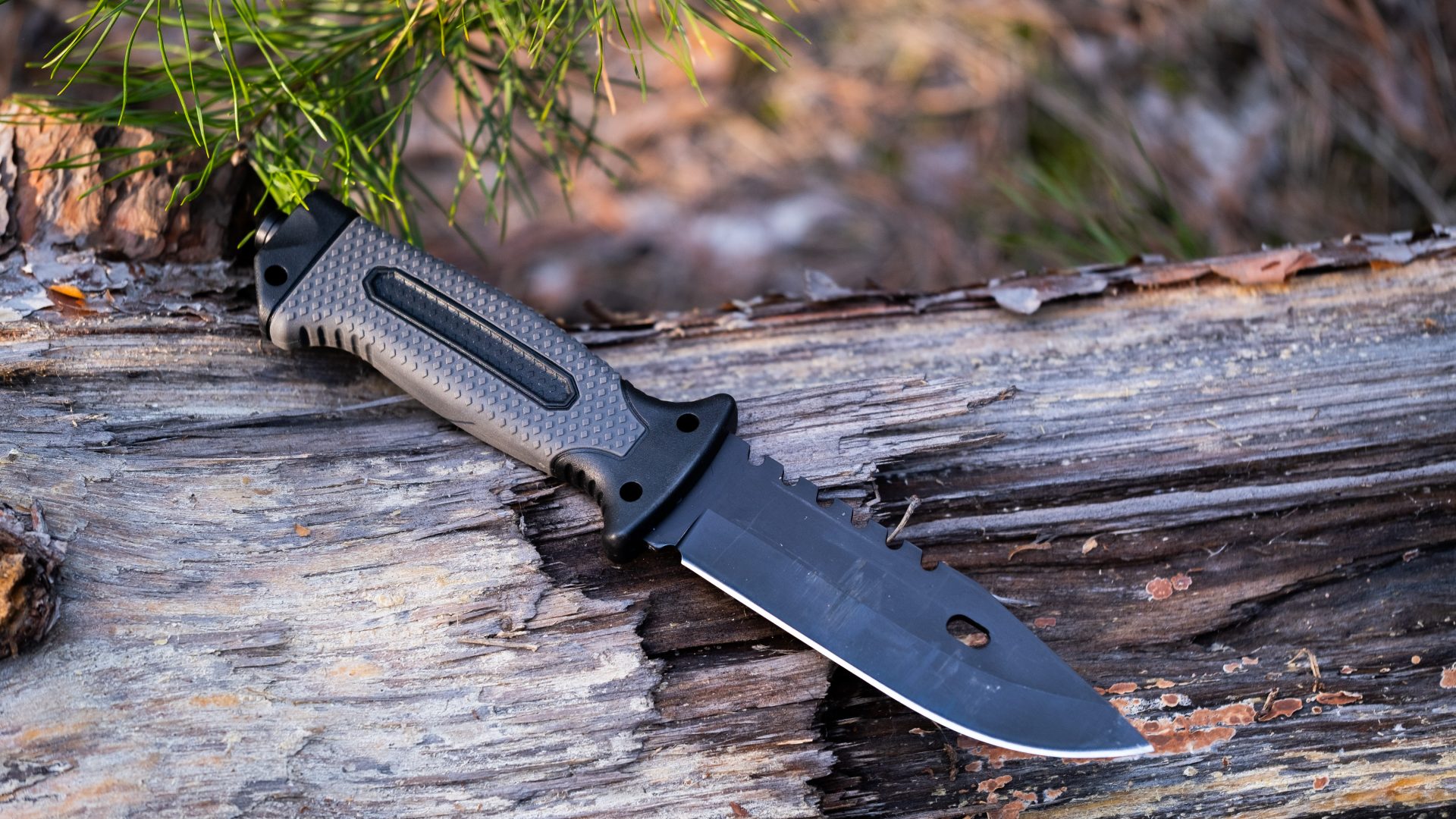 Types of Knives Combat: A Clear, Practical Guide to Choosing the Right One