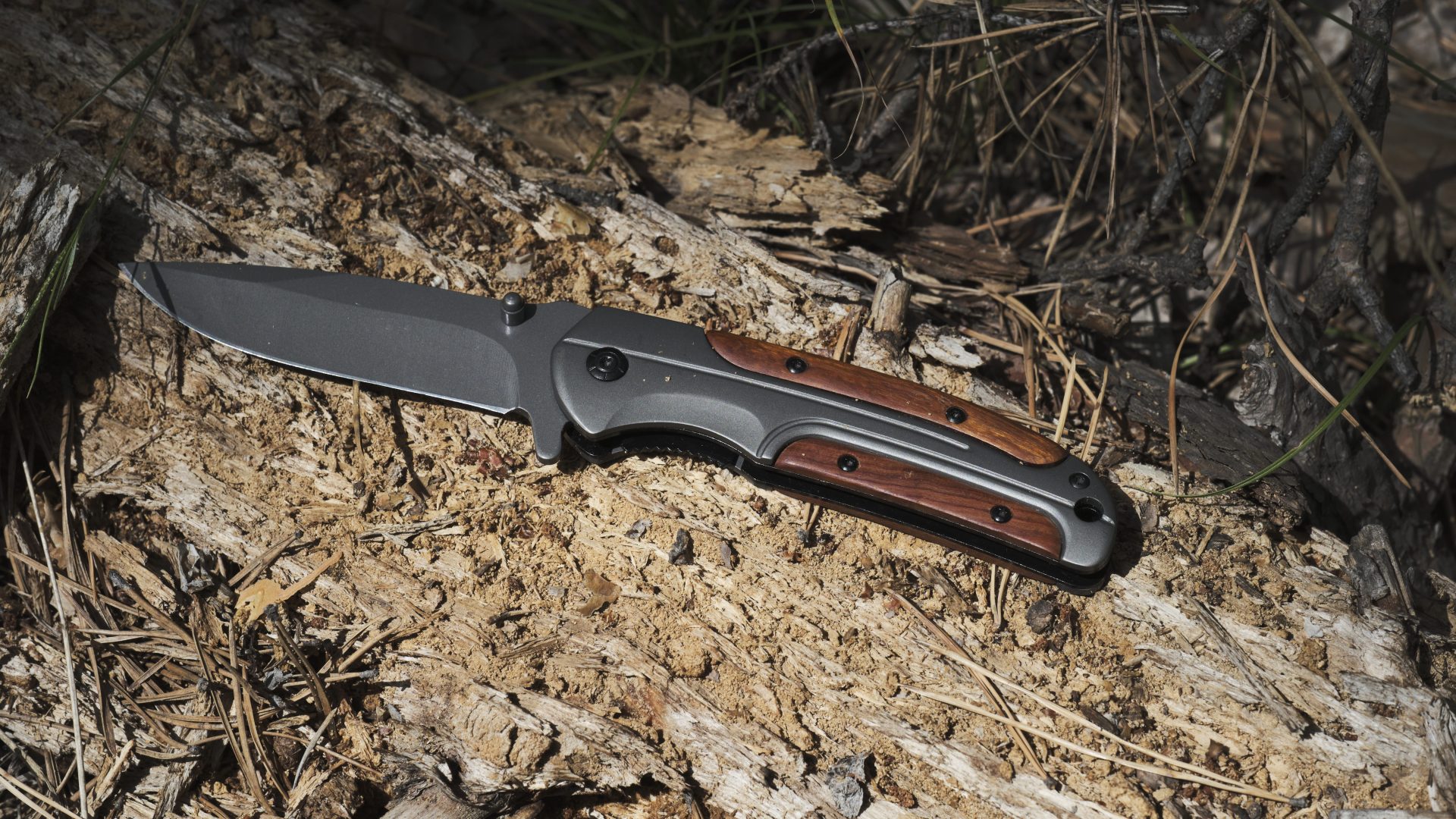 Types of Pocket Knives: The Complete Guide to Blades, Locks, and Everyday Use