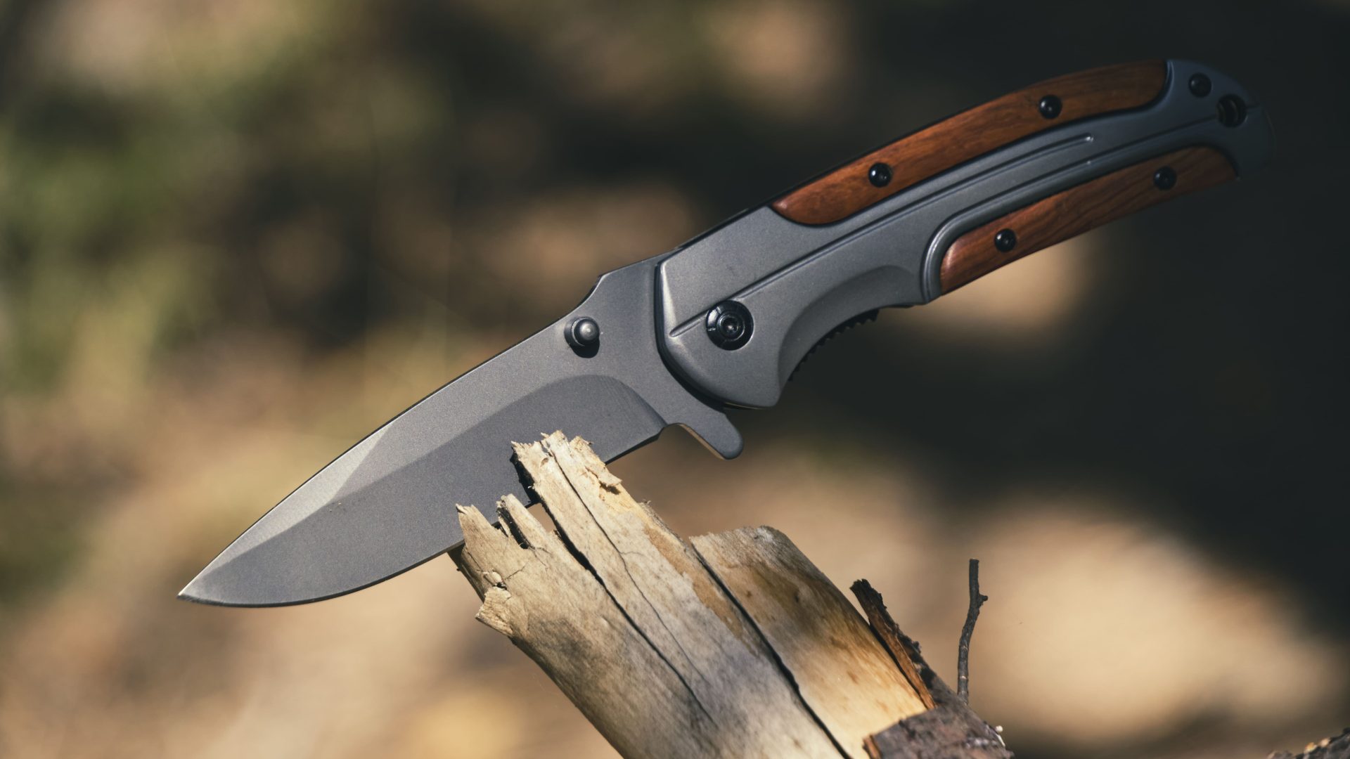 What Is a Folding Knife? A Complete Beginner-to-Expert Guide
